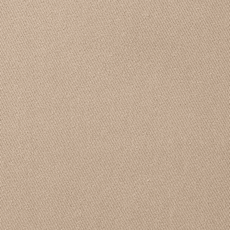 セピアベージュ BE