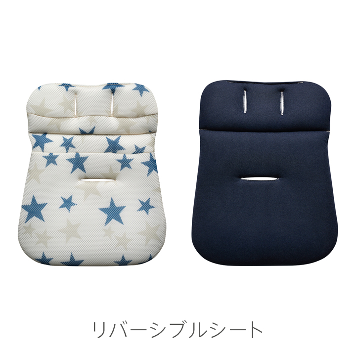 スターシップ RD