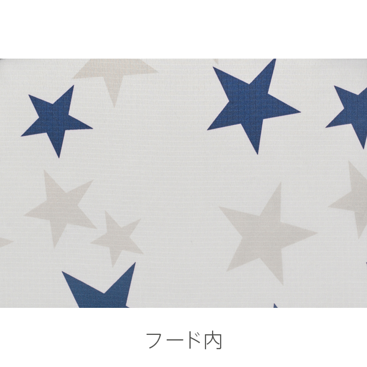 スターシップ RD