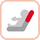 頭部安定シート設計