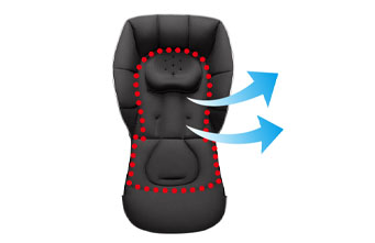 シルキーエアー