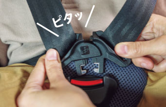 イージーベルト