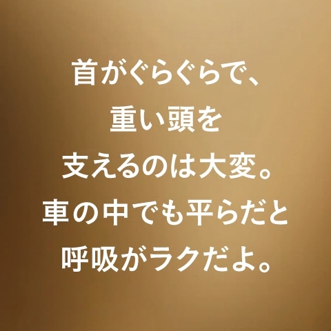 首がぐらぐらで、重い頭を支えるのは大変。車の中でも平らだと呼吸がラクだよ。